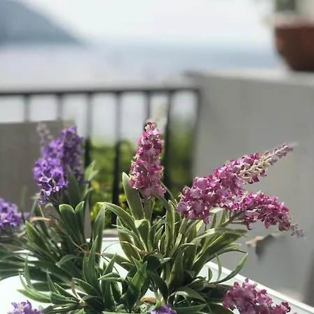 A Casa Dei Sasso, Vista Mare Mozzafiato!